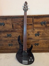 Peavey International Series