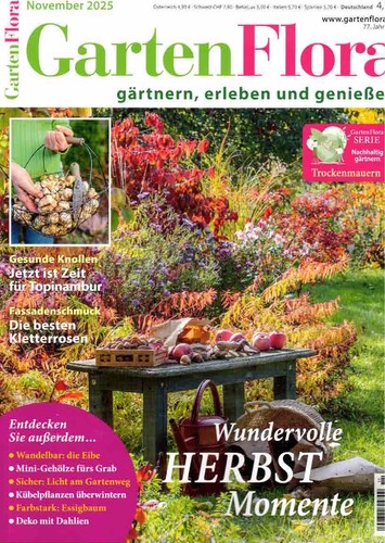 Gartenflora november - gartenflora, 11/25