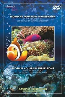 Tropische aquarium - tropische,