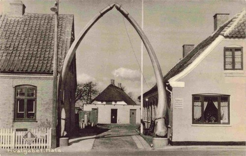 Hals hvalgabet walknochen - hals,