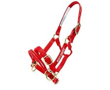 Premium M Onty Roberts Offizielles Training Halfter Schulhalfter Standardhalfter