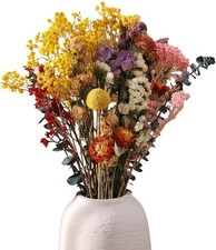 Trockenblumen Deko Set 30