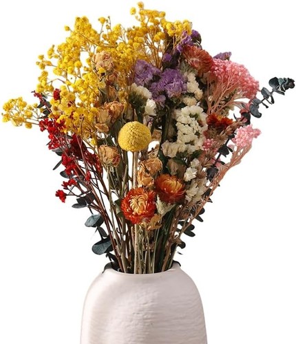 Rosewinec trockenblumen deko - rosewinec,