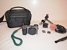 Sony Alpha a6000 | APS-C |