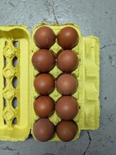 10 Französische Maran