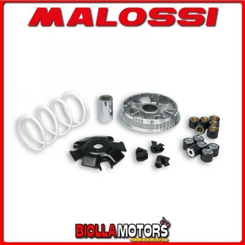 5111397 variomatik malossi - 5111397,