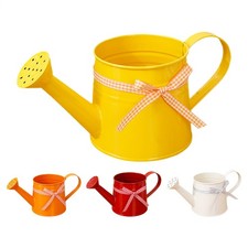 Kleine Gießkanne, 1 l