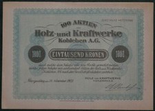 Holz- und Kraftwerke Kohleben A.G. 100 Aktien zu 1000 Kronen nicht entwertet