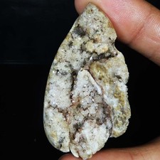Natürlich fossil schnecke - fossil,