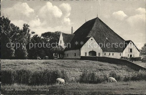 Husum nordfriesland roter - husum,