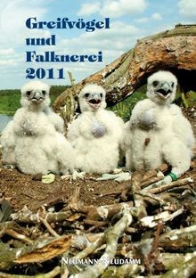 Greifvögel und falknerei - greifvögel,