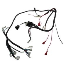 Hauptkabelbaum Stromleitung AGM GMX 550 ZX50QT-7B Chinaroller Scooter