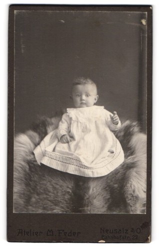Fotografie feder neusalz a - fotografie,