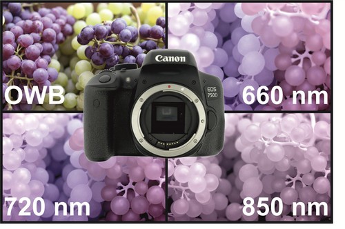 Canon eos 750d - eos,