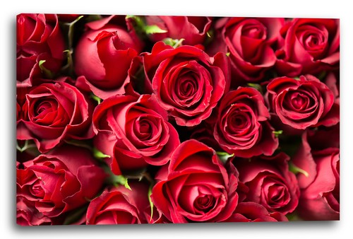 Wandbild blumenbilder - wandbild,