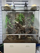 terrarium 120x100x60 glas