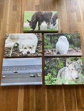 Leinwandbilder. Einzelverkauf