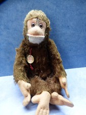 24934.  Affe Schimpanse