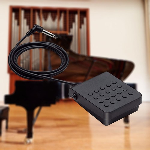 Kompaktes sustain pedal - sustain,