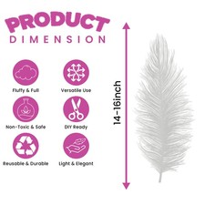 Schöne große Straußenfedern
