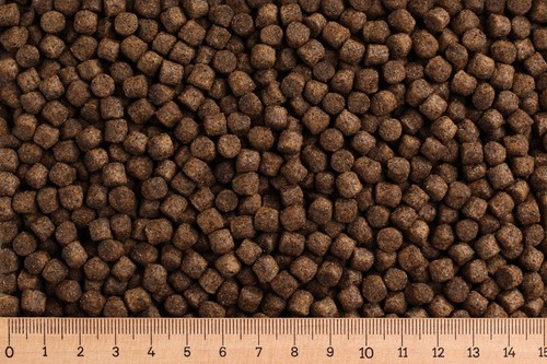 10 kg - 2,69,