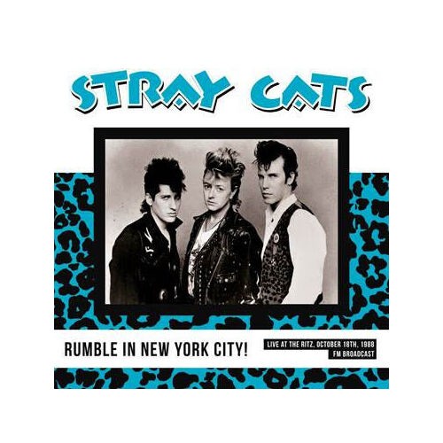 Stray cats rumble in new - -,