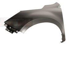 Diederichs Kotflügel Links