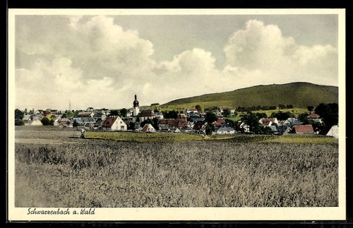 Schwarzenbach wald - schwarzenbach,
