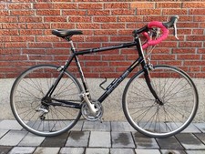 Großes 57cm focus ergoride - 57cm,