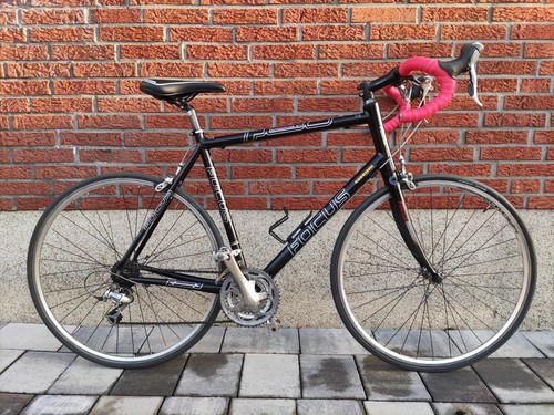 Großes 57cm focus ergoride - xl,