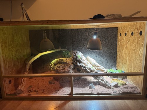 Großes bartagamen terrarium - großes, bartagamen-terrarium
