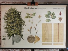 Schulwandkarte Lehrtafel