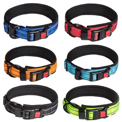 Reflektierender hundehalsband - reflektierender,