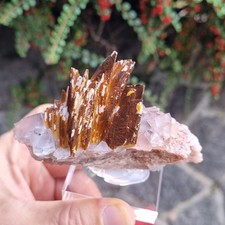 ?Video?Top Kabinettstufe Baryt auf Fluorit 10x5x5cm Grube Clara Schwarzwald