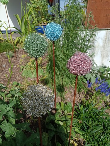 Allium zierlauch kugel - allium,,