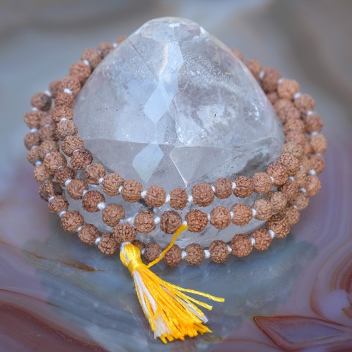Mala rudraksha samen - samen, 5mm