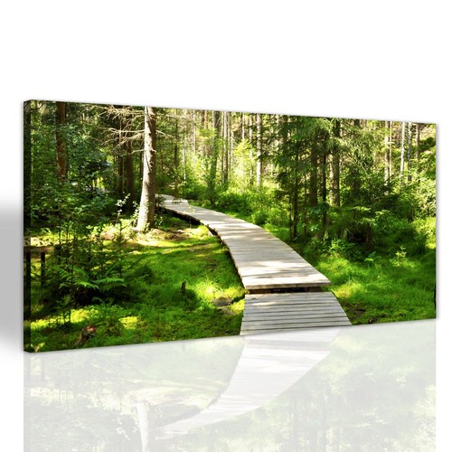 Holzpfad wald wohnzimmer - holzpfad,