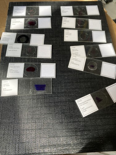 Mikropräparate histologie der - mikropräparate,
