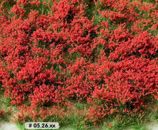 Grasbüschel rote blüten - grasbüschel,