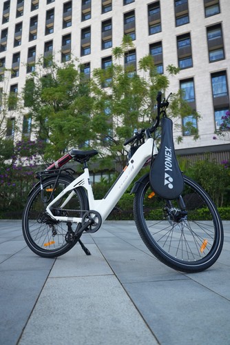 Elektrofahrrad 250w - elektrofahrrad,
