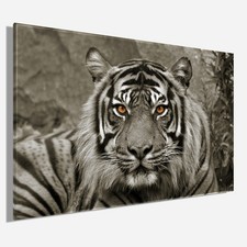 Wandbild TIGER ca. 78x118 cm