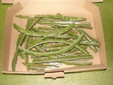 Faller ams  Nr. 4070 - Randstreifen  - Konvolut