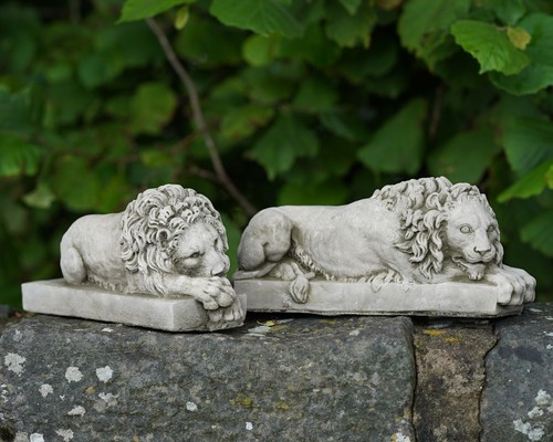 Paar canova löwen - paar,