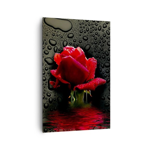 Wandbilder 80x120cm