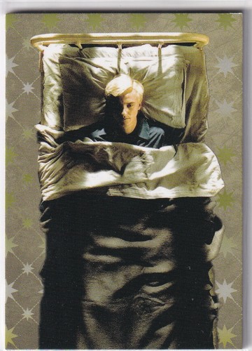 Panini harry potter evolution - harry,