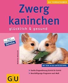 Zwergkaninchen glücklich und