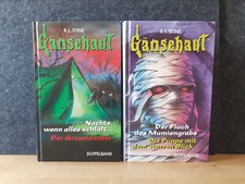 R.L. STINE - 2x Gänsehaut