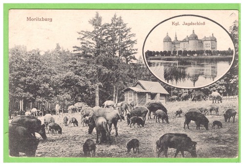 Moritzburg kgl - moritzburg, /