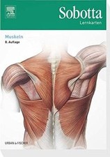 Sobotta lernkarten muskeln von - muskeln,