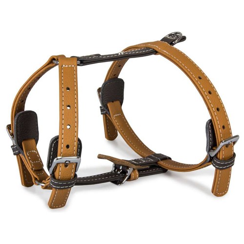 Das lederband hunde geschirr - das,